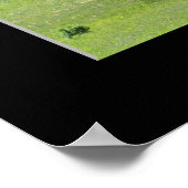 Poster "Puissant chêne vivant" (Coin)