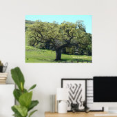 Poster Puissant chêne vivant (Bureau à domicile)