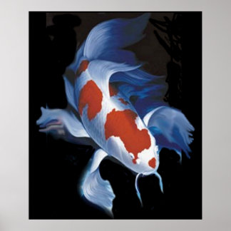 Poster Puissant Koi