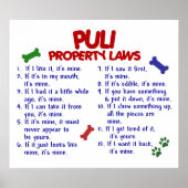 POSTER PULI PL2 (Devant)