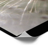 Poster Pulsar (Coin)