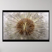 Poster Pulsar (Devant)