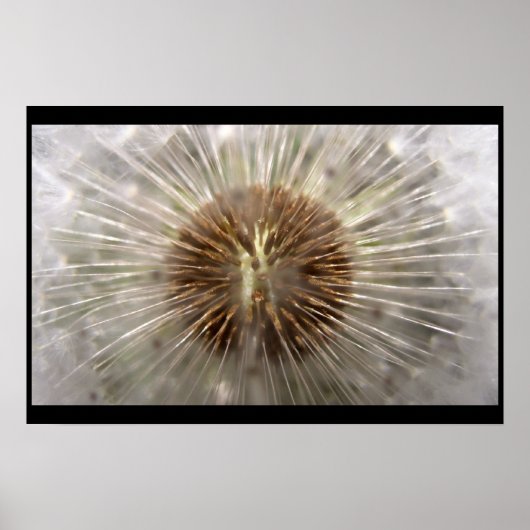 Poster Pulsar (Devant)