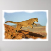 POSTER PUMA (Devant)