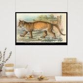 Poster Puma (homonymie) (Cuisine)