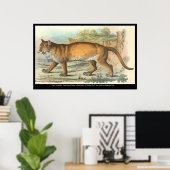 Poster Puma (homonymie) (Bureau à domicile)