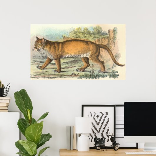 Poster Puma (homonymie) (Bureau à domicile)