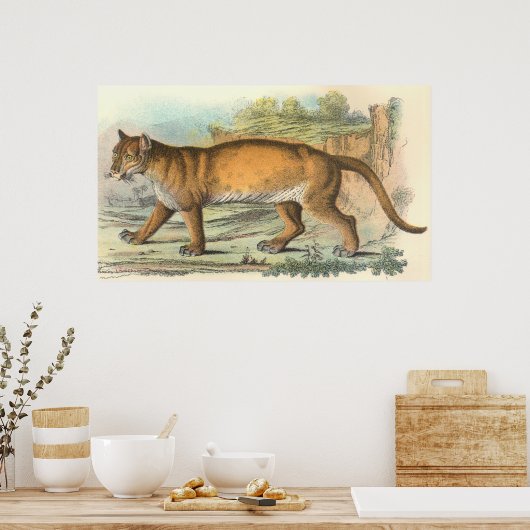 Poster Puma (homonymie) (Cuisine)