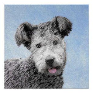 Poster Pumi Peinture - Cute Original Chien Art