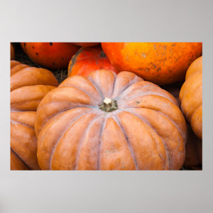 Poster Pumpkin Season
