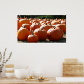 Poster Pumpkins Photo for Fall, Halloween or Thanksgiving (Cuisine)