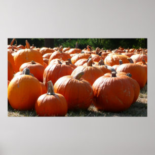 Poster Pumpkins Photo for Fall, Halloween or Thanksgiving