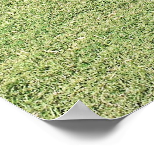 Poster Punker (Coin)