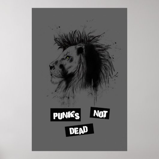 Poster punks non morts (Devant)
