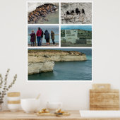 Poster Punta loma photo collage, province de chubut, arge (Cuisine)
