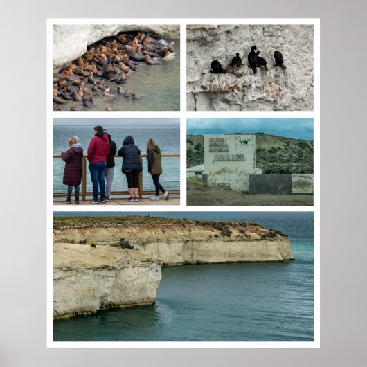 Poster Punta loma photo collage, province de chubut, arge (Devant)