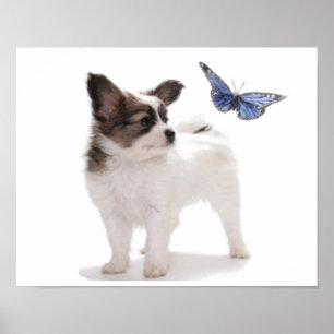 POSTER PUP AVEC BOUTEILLE