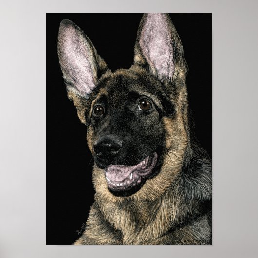 Poster Pup berger allemand - Poster/Imprimer - "Rommel" (Devant)