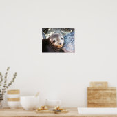 Poster Pup d'otarie, Isla Las Plazas, Galapagos (Cuisine)
