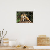 Poster Pup Red Fox devant den Vulpes vulpes) (Cuisine)