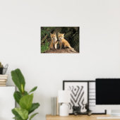 Poster Pup Red Fox devant den Vulpes vulpes) (Bureau à domicile)
