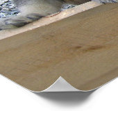 Poster Puppies de Norvège (Coin)