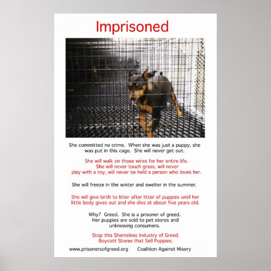 Poster Puppy Mills brasse l'affiche Misery (Devant)