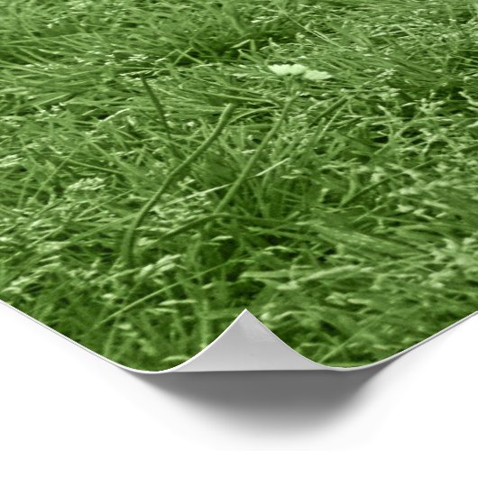 Poster Puppy Pit Bull T-Bone (Coin)