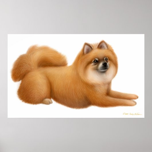 Poster Puppy Pomeranian (Devant)