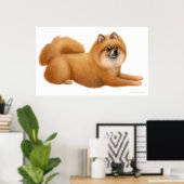 Poster Puppy Pomeranian (Bureau à domicile)