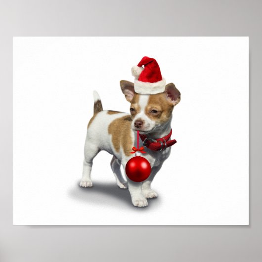 Poster Puppy with christmas a et balle (Devant)