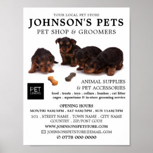 Poster Pups mignons, boutique pour animaux de compagnie e