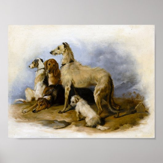 Poster Pups vintages (Devant)