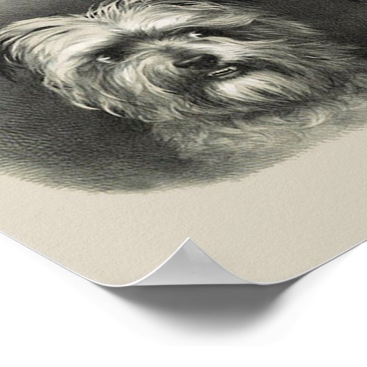 Poster Pups vintages (Coin)