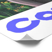 Poster Pura Vida Costa Rica (Coin)