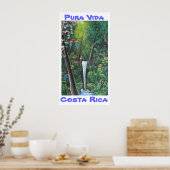 Poster Pura Vida Costa Rica (Cuisine)