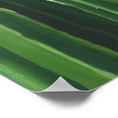 Poster Pura Vida - Groupe Cactus (Coin)