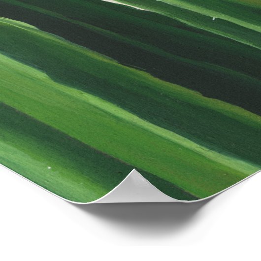 Poster Pura Vida - Groupe Cactus (Coin)