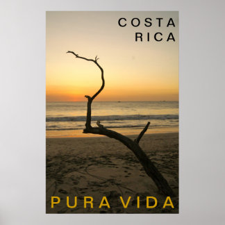 Poster PURA VIDA Playa Flamingo