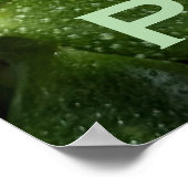 POSTER PURE JADE (Coin)