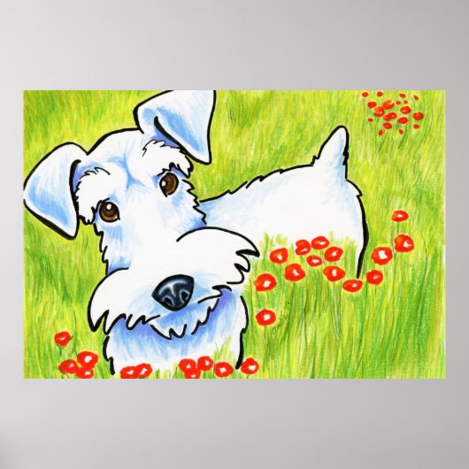 Poster Pure Schnauzer (Devant)