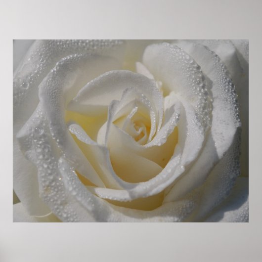 Poster "Pureté" (Devant)