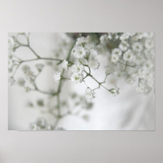 Poster Purity Canvas Print