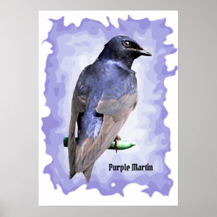 Poster Purple
