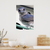 Poster Purple (Cuisine)