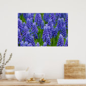 POSTER PURPLE BLUE GRAPE FLEURS NATURE GRASS BEAUTY SCEN (Cuisine)