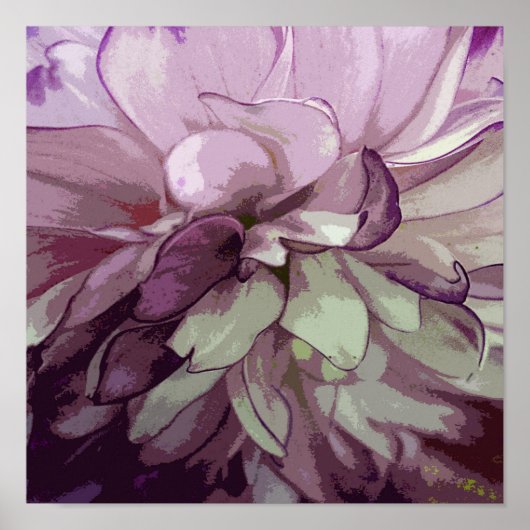 Poster Purple Dahlia (Devant)