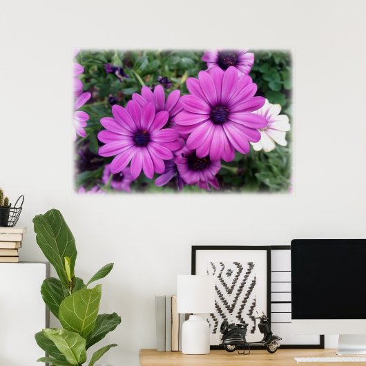 Poster Purple daisies (Bureau à domicile)