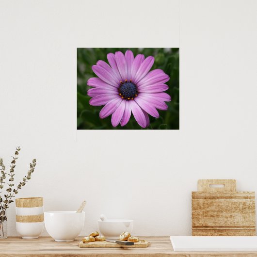 Poster Purple Daisy (Cuisine)