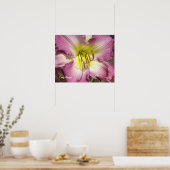 Poster Purple Daylily (Cuisine)